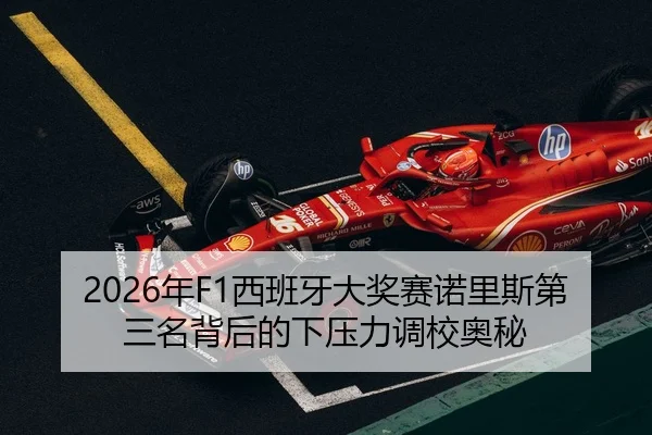 nian-xi-ban-ya-da-jiang-sai-nuo-li-si-di-san-ming-bei-hou-de-xia-ya-li-diao-xiao-ao-mi-3-304.jpg