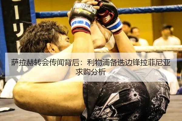 sa-la-he-zhuan-hui-chuan-wen-bei-hou-li-wu-pu-bei-xuan-bian-feng-la-fei-ni-ya-qiu-gou-fen-xi-3-402.jpg
